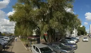 Фотография Нотариус 4